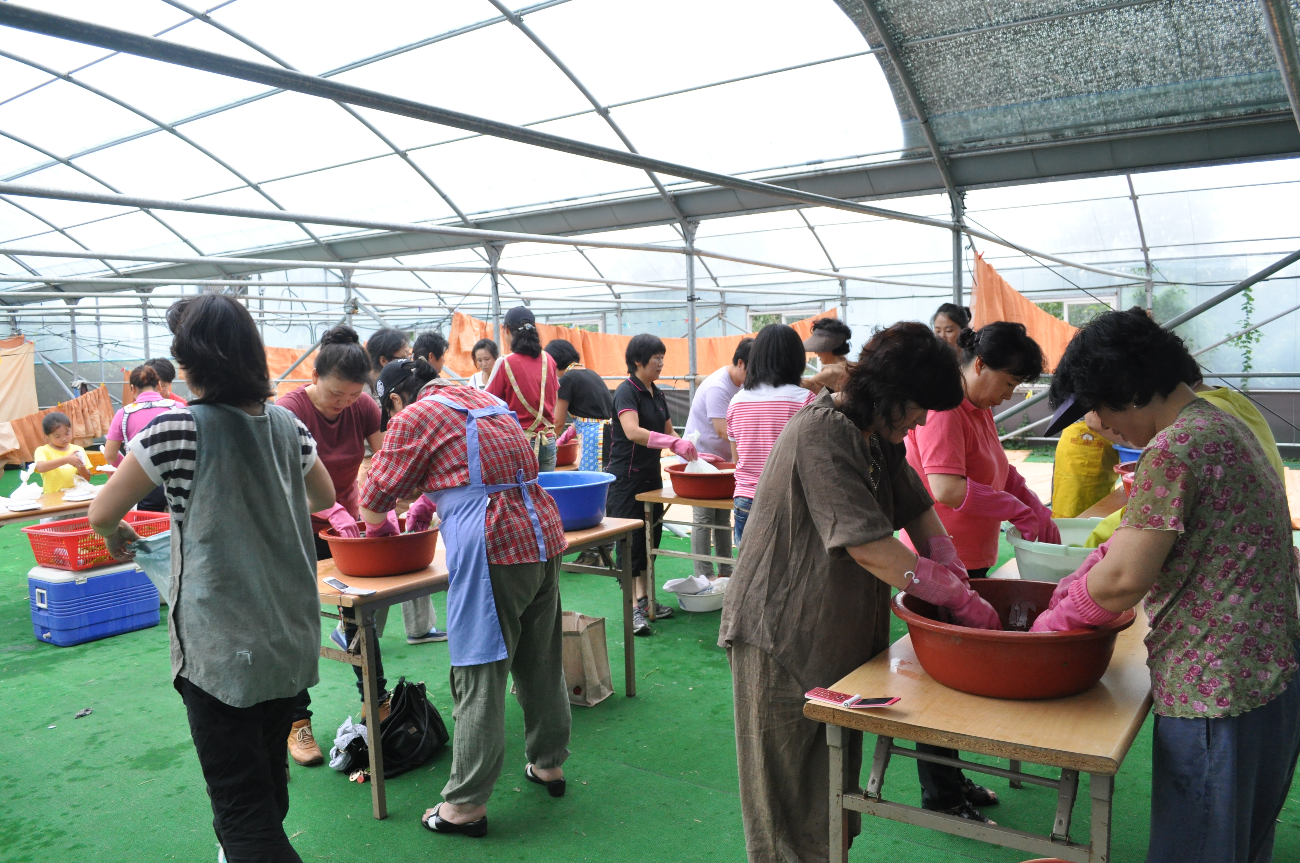 천연염색 기술교육(2회차, 생쪽염색)